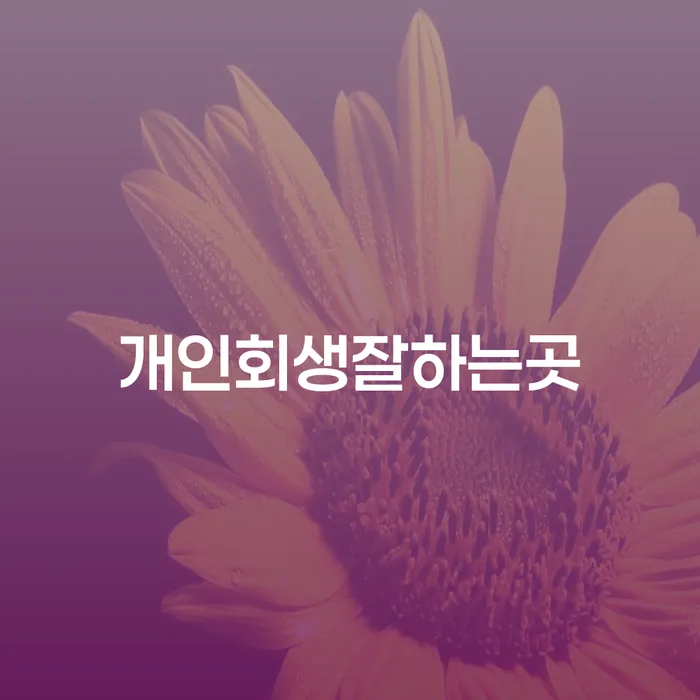 진주시 개인회생법률사무소 빚청산 상세히알기