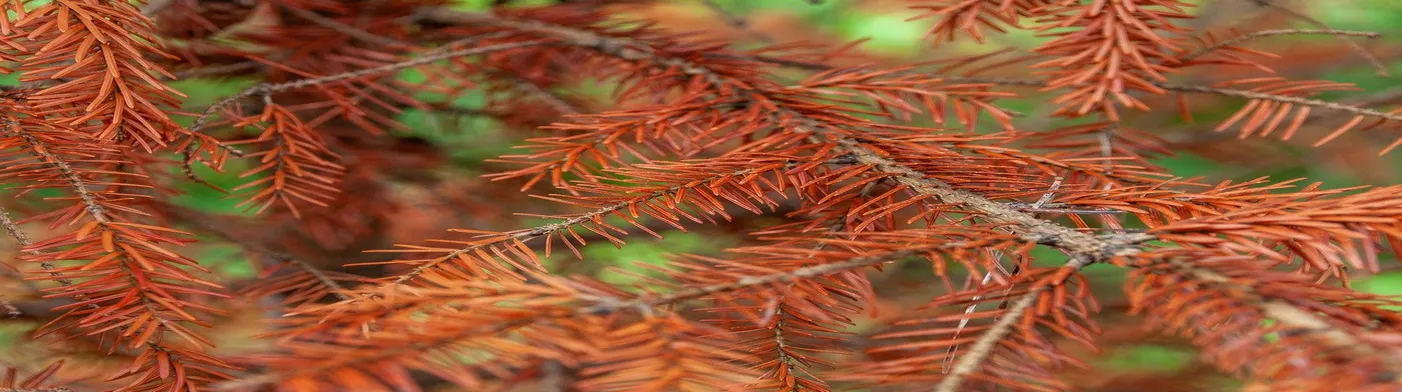 법무법인 서앤율