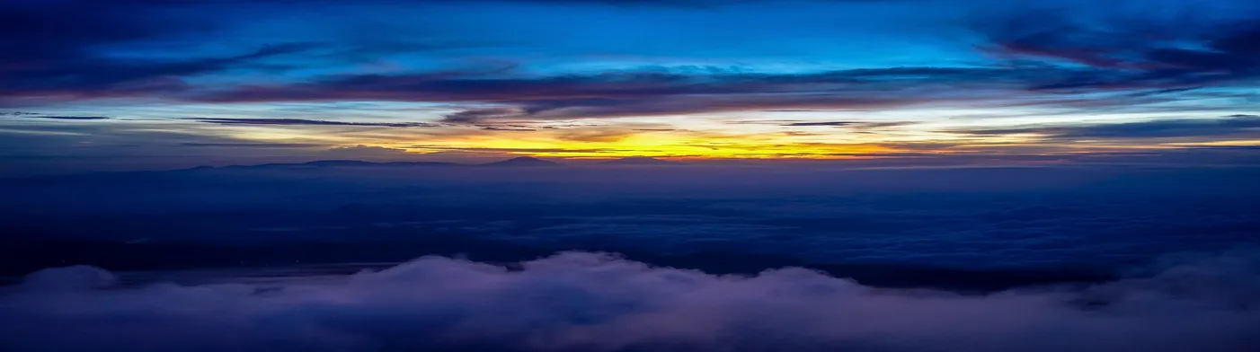 법무법인 서앤율