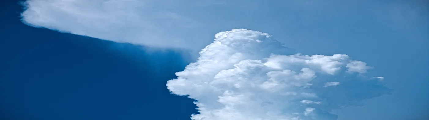 법무법인 서앤율