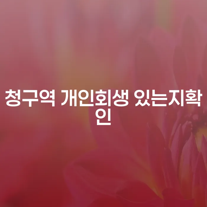 청구역 개인회생 있는지확인