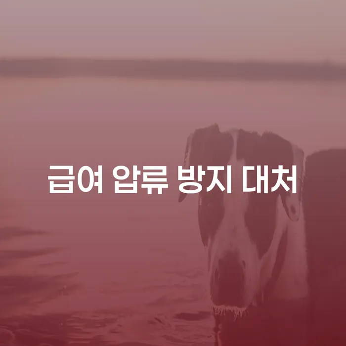 급여 압류를 방지하는 최적의 대처 방법은 무엇일까요?