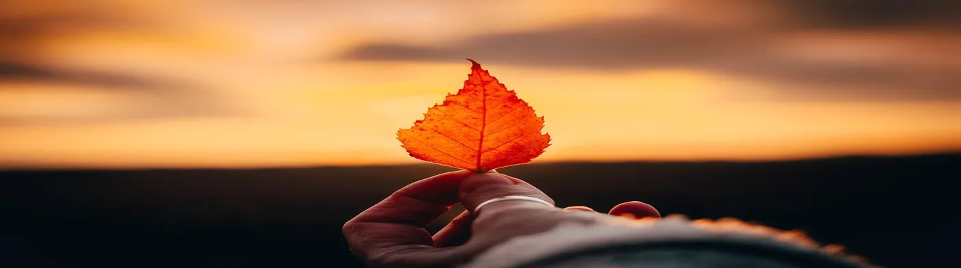 법무법인 서앤율