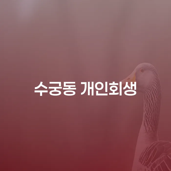 수궁동 개인회생, 어떻게 신청하고 성공할 수 있을까요?