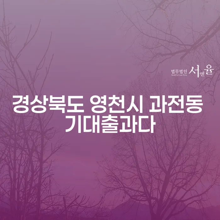 경상북도 영천시 과전동 기대출과다 문제, 해결할 수 있을까요?