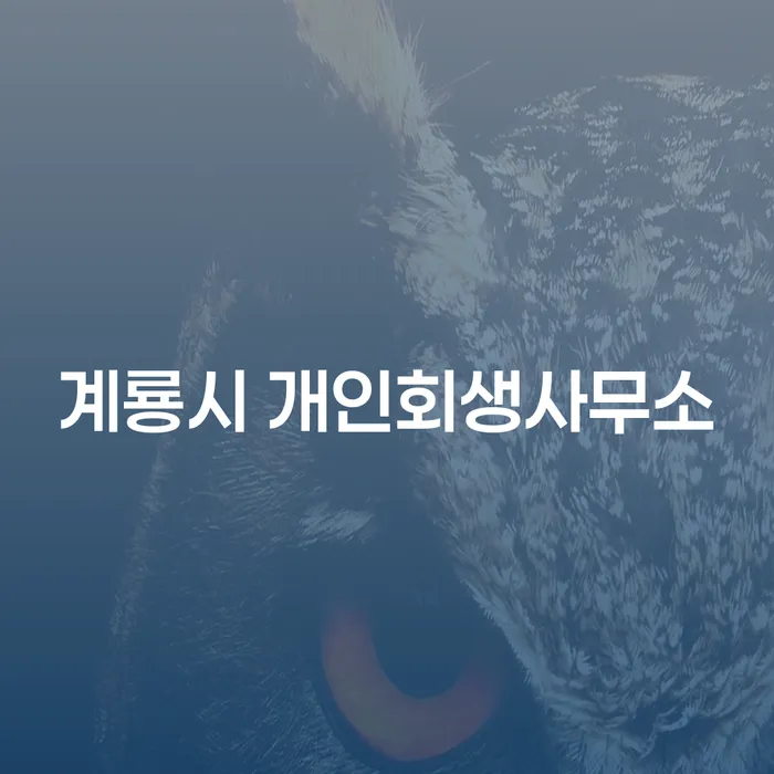 계룡시 개인회생사무소를 통해 개인회생 후 신용회복이 가능할까요?
